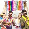 Accesorii de petrecere – Accesorii pentru ceremonii și petreceri