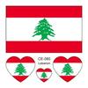 World Cup 2026 National Flag Waterproof Tattoo Stickers for Sports