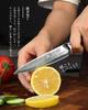 Premium PAUDIN Paring Damascus VG10 Stainless Steel with G10 Fruit Knife for and Gift [Shoun] Knife, 127mm, 67-Layer Handle, Double-Edged,