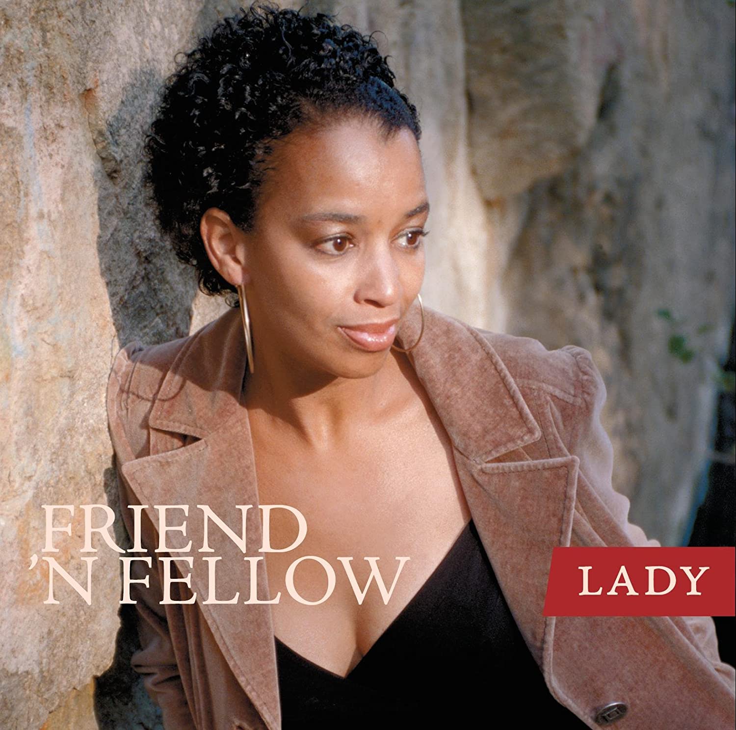 

CD FRIENDN FELLOW - Lady BSMF5005 Japan ObiMusic Others Used