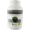 Organic Eleuthero 200 Tablets 400 Mg