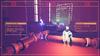 Limited Edition North PS5 Recompile (Import Version America) -