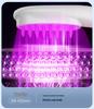 Red & Blue Light Electric Scalp Massager Comb with Hair Growth Oil