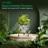 Pots for Plants, Plant Pots for Home Decoration, Succulent Pot, Indoor Planter Garden Decor Style: Sunlit Symphony