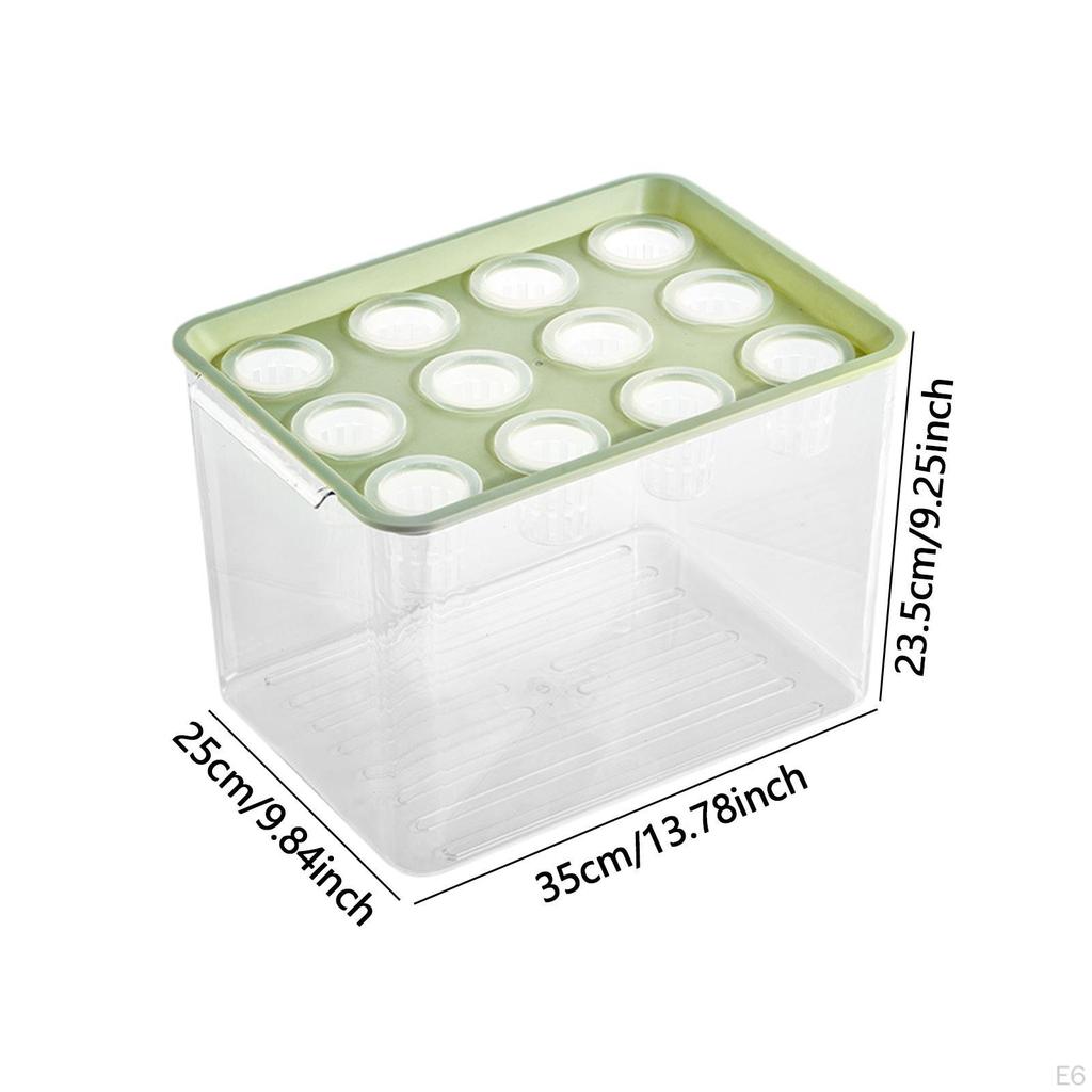 Home Hydroponics Growing Box for Microgreens Development