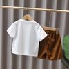 Stylish Summer Outfit For Boys Soft Cotton Two Piece Set For Ages 1 To 7 Years