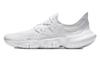 Free Rn 5.0 Platinum Tint AQ1289-002