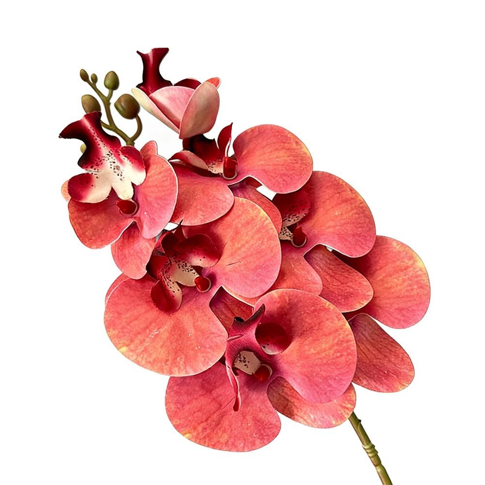 Butterfly Orchid Artificial Phalaenopsis Flower Long-lasting PVC Faux Orchid Stems Real Touch Single Branch Simulation Orchid