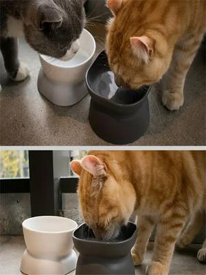 Pisici – Veselă de hrănire și aprovizionare cu apă pentru pisici