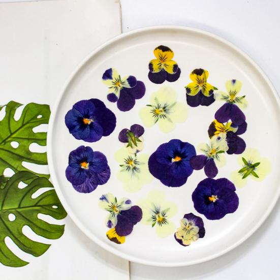 Yousheng 24 Buc. Flori Naturale Presate Uscate DIY Artă Meșteșuguri Topper Tort Decorare Cocktailuri Rășină Bijuterii Scrapbooking Semne de Carte Confecționare Colorat