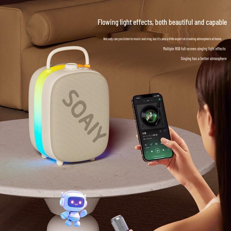 Soaiy Dual Microphone Karaoke Speaker System