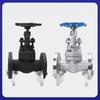 YunDuo F304 Forged Stainless Steel Flanged Globe Valve