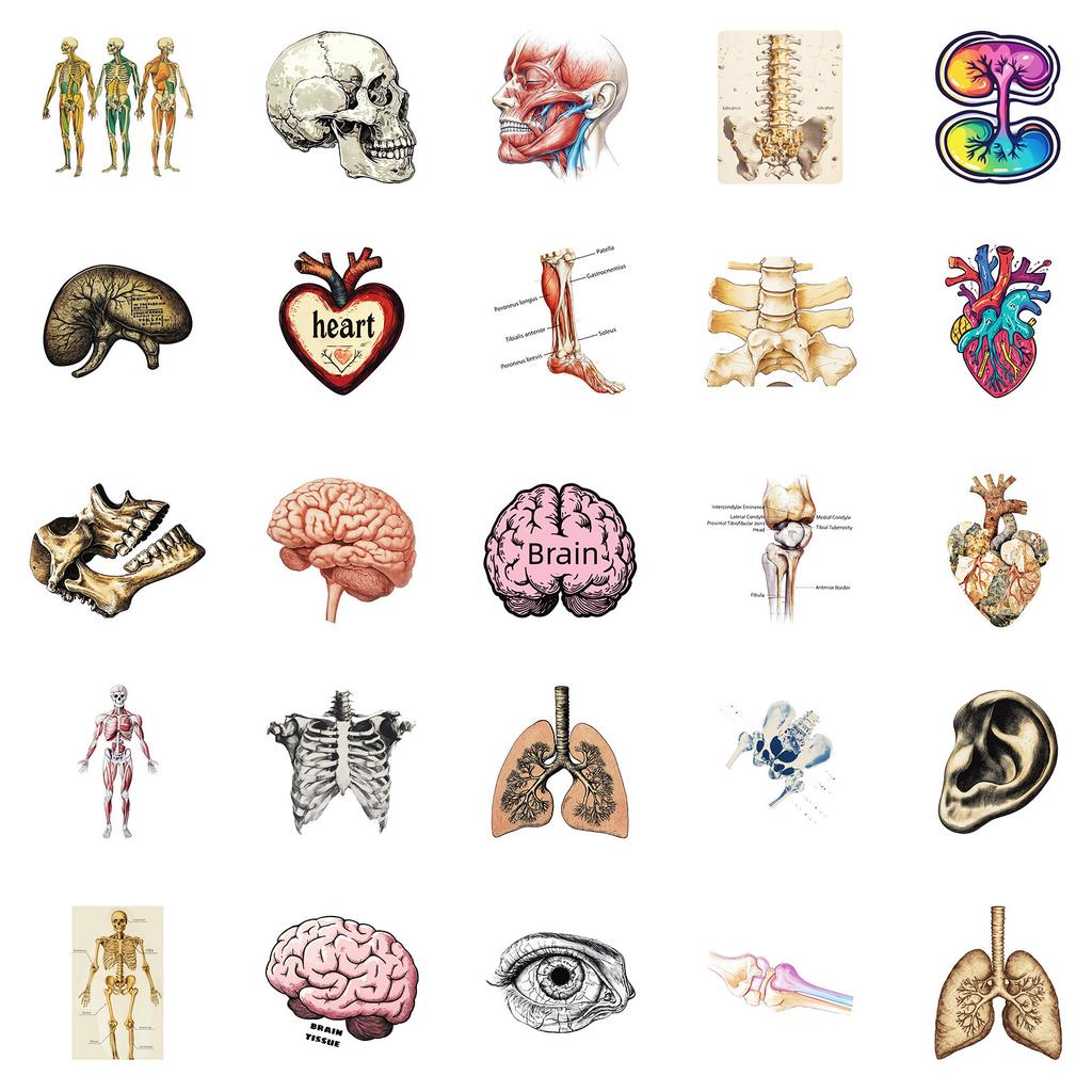 - Stickers, Suitcase Stickers, Skateboard Stickers