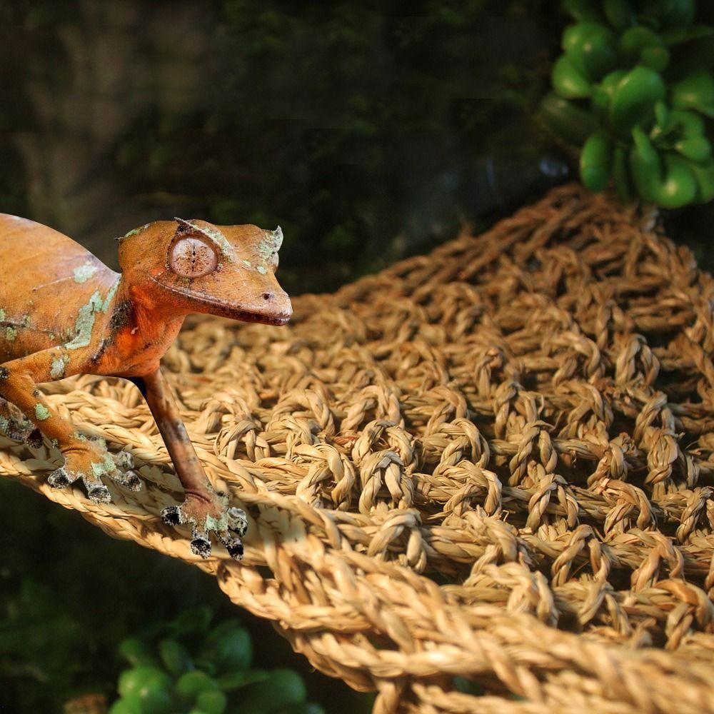 Practical 1PC with Suction Cups Flexible Soft Crabs House Reptile Hammock Geckos Mats Lizard Bed