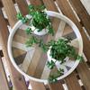 Handmade Artificial Copper Coin Grass Plants Soft Mini Bouquet Fake Ivy Leaf Leaves  Office