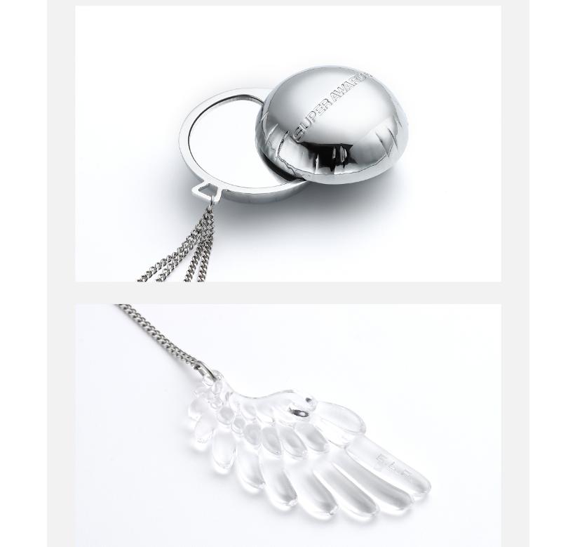 Super Junior 25th Anniversary Carabiner Keyring