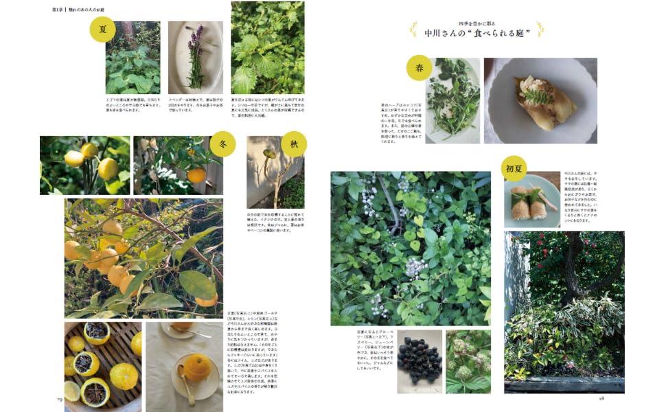 My little garden that requires no maintenance all year round (TJMOOK)