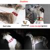 Pet Reflective Collar Leash Gree Greyhound Whippet Thin Dog Canvas Luminous Collar for Small/Medium/Large Dogs