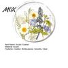Modern Kitchen Table Decor Floral Print Acrylic Coaster, Non-Slip Surface Heat Resistant Protection Cup Pad, Dining Pads Transparent Round Mat