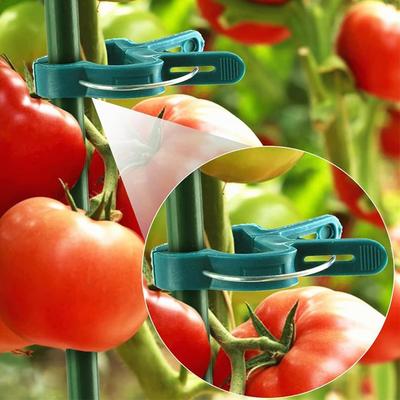 20/10/1Pcs Plant Fixed Clips Reusable Garden Greenhouse Clamp Bracket for Fixed Plants Vine Flower Seedling Stem Support Tools
