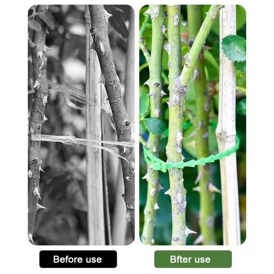 Regulowane opaski do roślin Wielofunkcyjne Elastyczne Plastikowe Opaski zaciskowe Opaski do zarządzania kablami Ogrodowe Opaski wspierające rośliny dla pnączy Krzewów