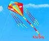 Vibrant Diamond Triangle Kite - Easy to Fly in Light Breeze for Kids