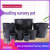 Thickened Disposable Nutrient Seedling Pots with Drainage Holes