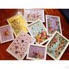 6 Natural Dried Flower Embellishment Case Decor