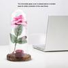 Preserved   Flower LED Light with Glass Cover & Wooden Base Valentines Day Wedding Gift Red