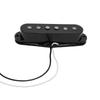 Electric Guitar Accessories: Alnico5 Single and Double Coil Pickups