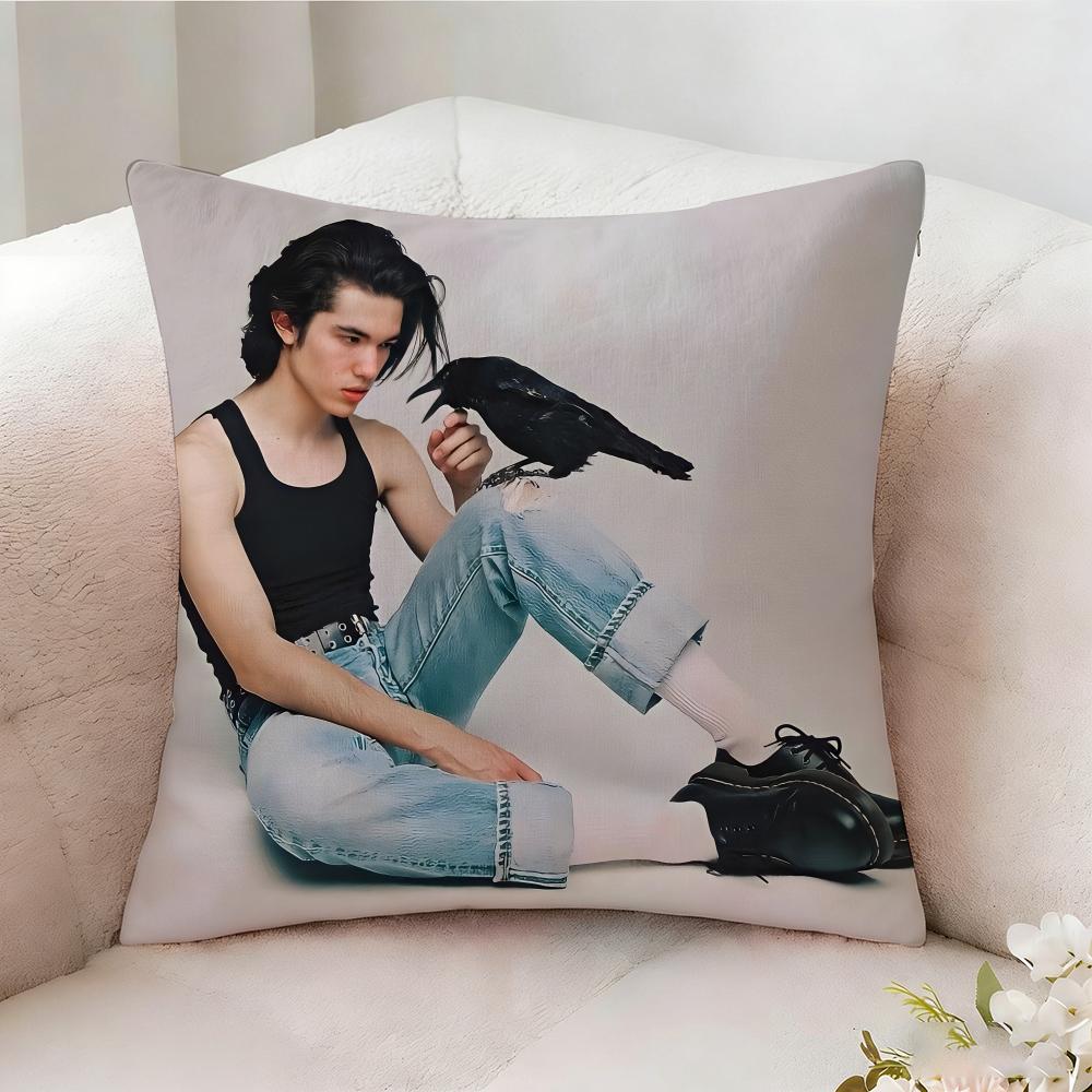 C-conan G-Gray Singer Pillow Case Pillowcase, Double-sided Printed, Sofa Cushion, Bedroom Headboard Pillow
