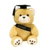 Cartoon Graduation Teddy Bear Plush Toy Dr. Bear Bear Hug Bear Doll Graduation Season Commemorative Rag Doll