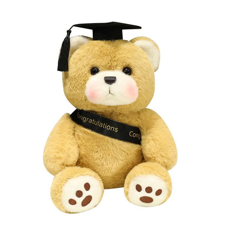 Cartoon Graduation Teddy Bear Plush Toy Dr. Bear Bear Hug Bear Doll Graduation Season Commemorative Rag Doll