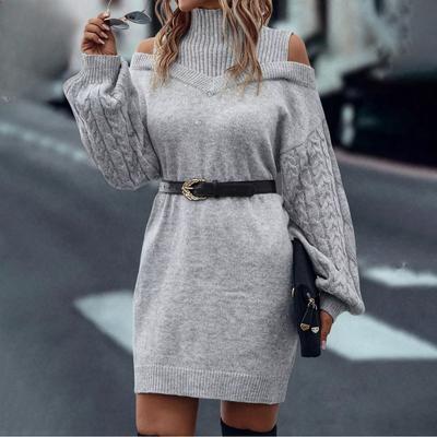 Autumn Winter Casual Loose Mini Dress Fashion Long Sleeve Elasticity Sweater Dresses Turtleneck Solid Off-shoulder Knitted Dress