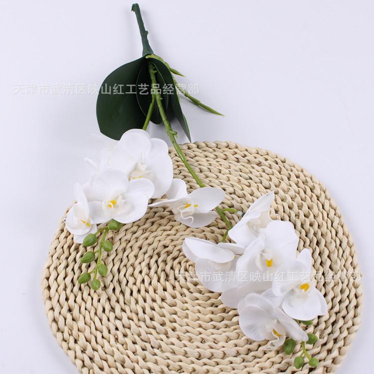2-Fork small Phalaenopsis, feel film Phalaenopsis, simulated Phalaenopsis