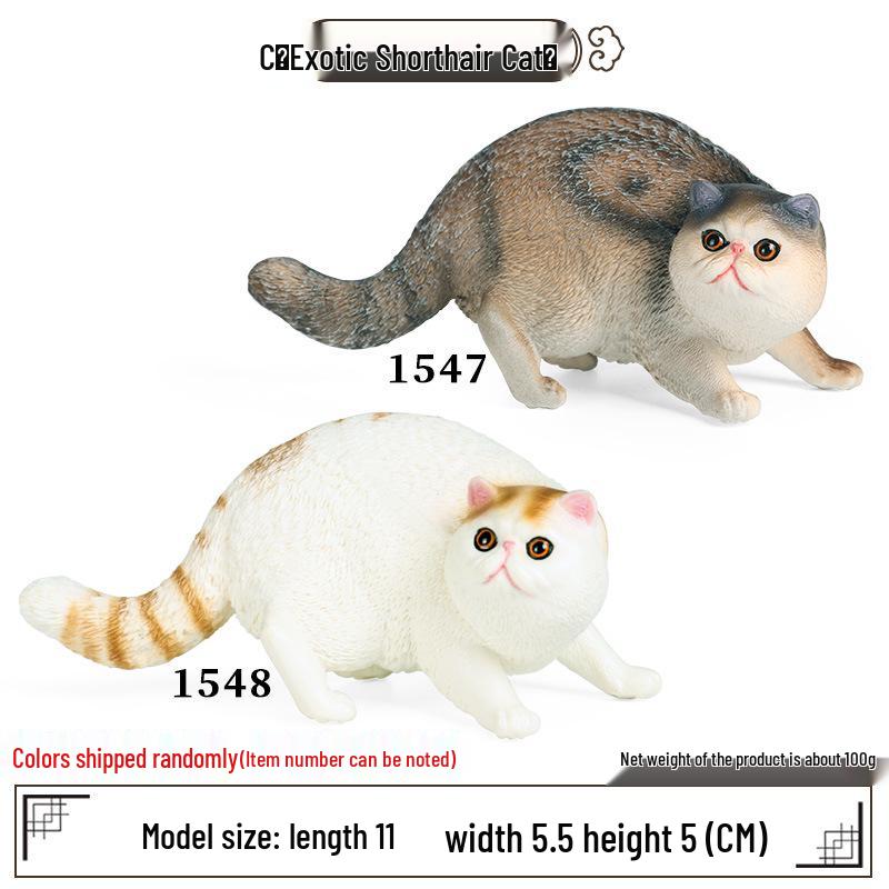 Realistic Exotic Orange Tabby Cat Heart Model Ornament