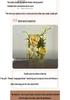 Kit DIY Buchet de Flori cu Legătură Răsucită - Cadou de Crăciun Perfect pentru Prieteni