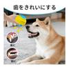 LaRoo Dog Toy Ball with Sound Floating Durable Natural Rubber Chew Toy Stress Relief Teeth Cleaning, Bouncy Indoor and Outdoor Play for Medium Dogs