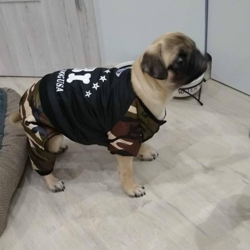 dog punk jacket