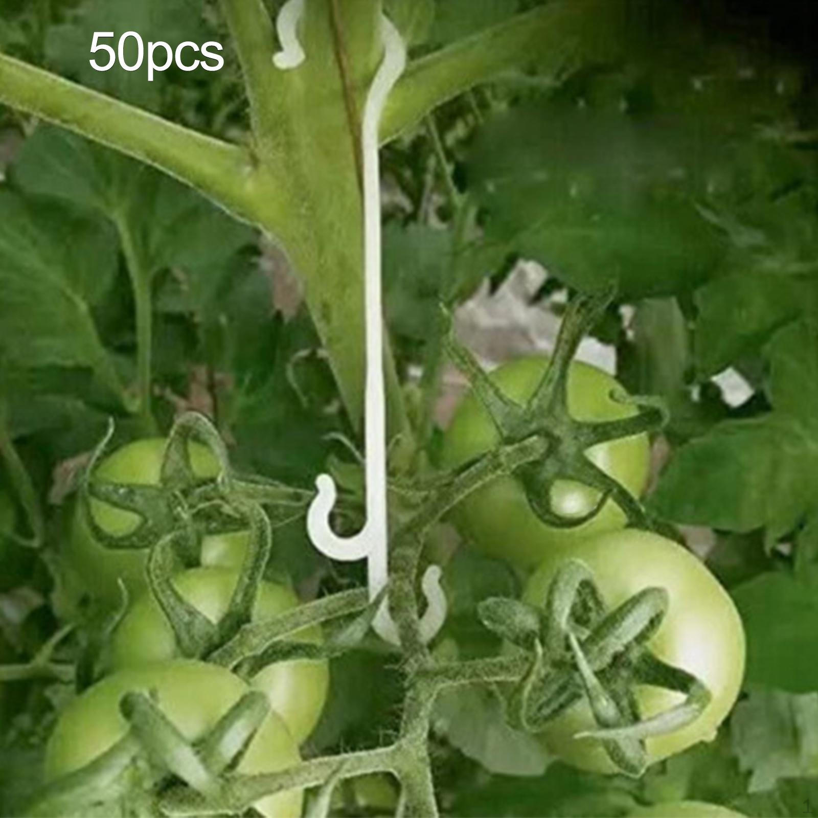 

50 шт. Крючки-опоры для томатов, Клипсы для огурцов, Формы для роста, Предотвращение падения томатов 16cm