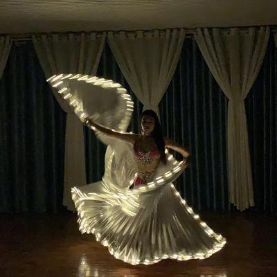 Belly Dance Accessories 145cm Led Wing Silver Split Glowing Wings Cape For Halloween And Stage Performance