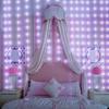 Pleasure Holiday 100LED 3x1Meter Curtain Strings Light USB 8-Mode Fairy Lamp with Remote Control