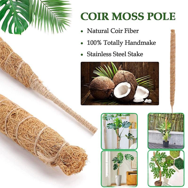 Premium Quality Coconut Shell Plant Climbing Pole 60-120cm Length