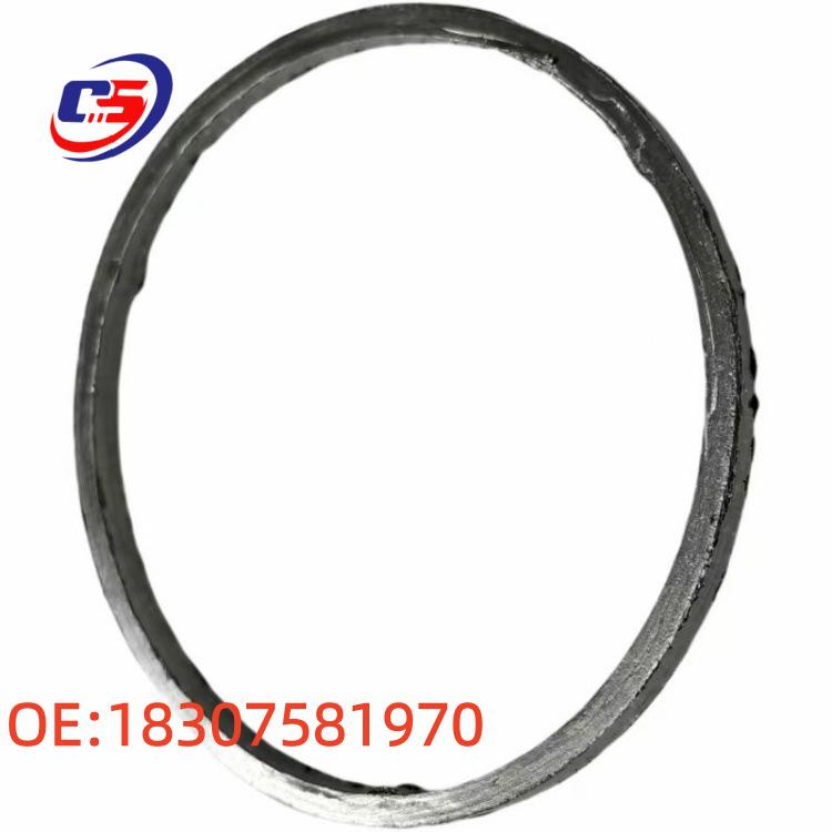 BMW Exhaust Pipe O-Ring Gasket F20 F21 E82 18307581970