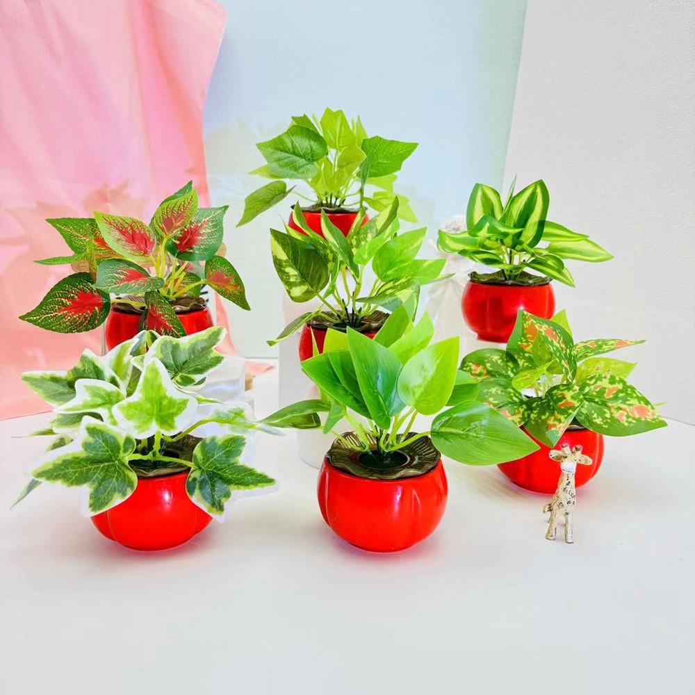 Persimmon Epipremnum Aureum Flowerpot Simulation Green Plant Plant Potted