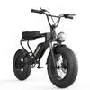 Electric Bike Beach Cruise E-bike 1200w Fat Tire Mountain E-bike elektrokolo
