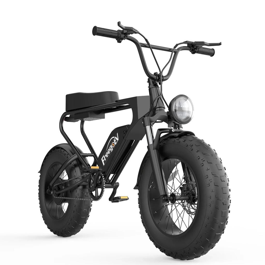 Electric Bike Beach Cruise E-bike 1200w Fat Tire Mountain E-bike elektrokolo