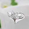Korean Fire Fox Stud Earrings Spot Ears Women's Gifts Earrings Jewelry
