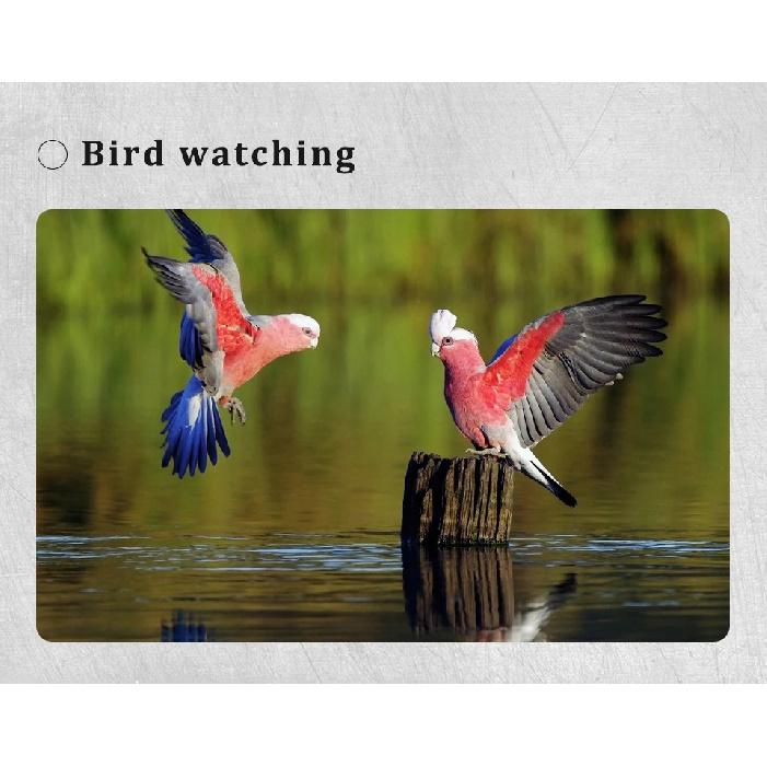 Binoculars 80X80 Long Range 15000m HD High Power Telescope Optical Glass Lens Low Light Waterproof For Hunting Sports Scope