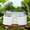 Large Capacity Transparent Turtle Tank Anti Escape Full View Turtle Aquarium Plastic with Sun Platform Breeding Box